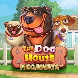 The Dog House Megaways gra w Twindor Casino dla graczy z Polski The Dog House Megaways gra w Twindor Casino dla graczy z Polski