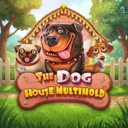 The Dog House Multihold gra w Twindor Casino dla graczy z Polski The Dog House Multihold gra w Twindor Casino dla graczy z Polski